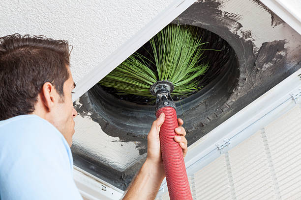 Best Ductwork Cleaning Services  in East Alton, IL